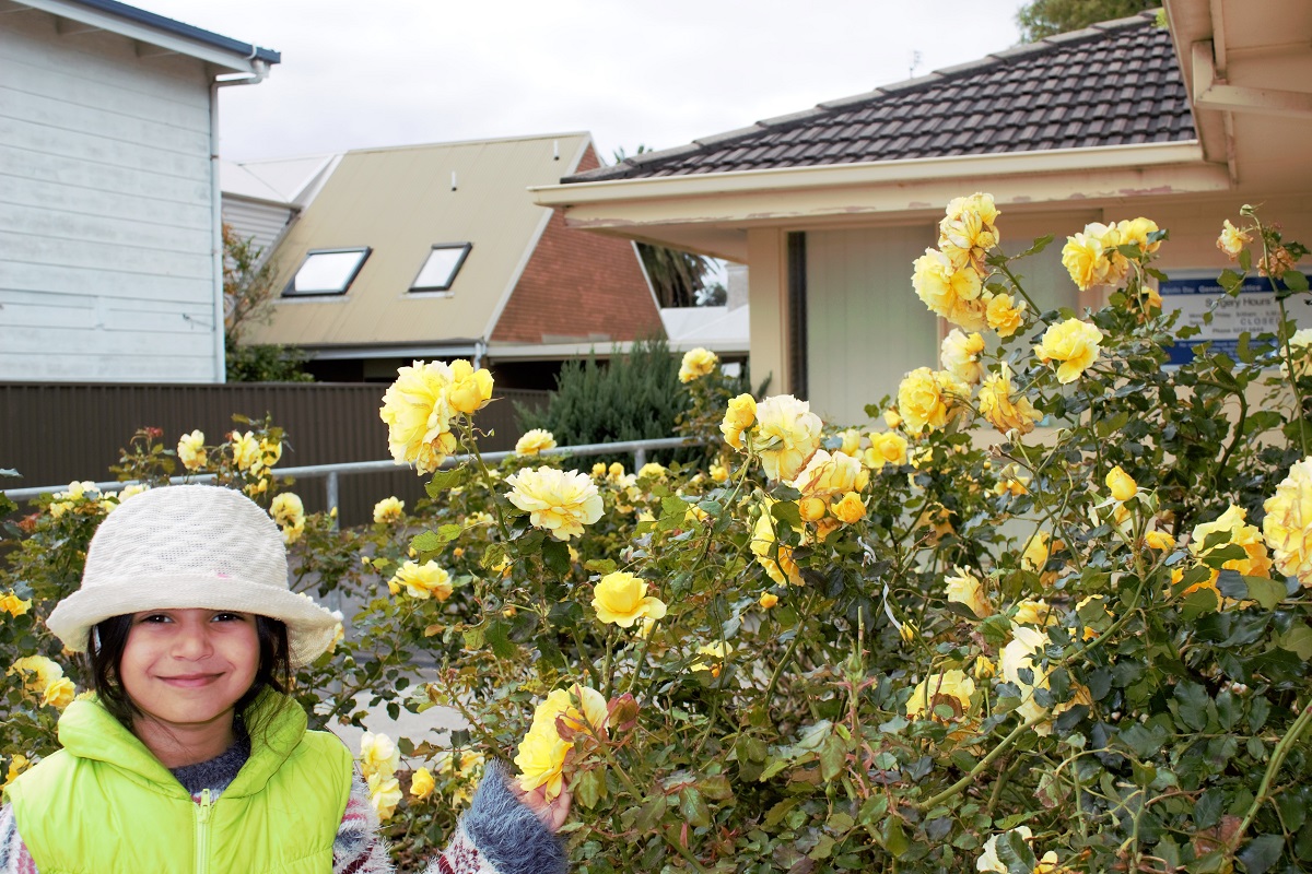 Little Gypsy with Yellow Roses