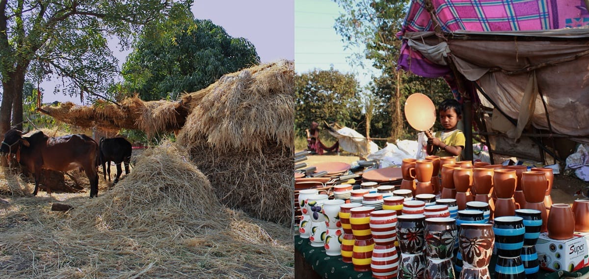 Rural Beauty in Shirdi